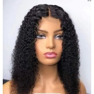 Waterwave Curly Wig With Part Closure-1b