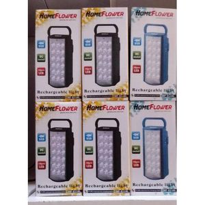Homeflower rechargeable light