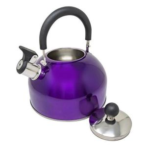High quality Colored large Stainless Steel Whistling Kettle- 4Ltrs for every home - best and affordable 