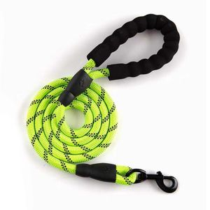 Heavy-Duty Reflective Dog Leash with Comfort Foam Handle - Strong Walking Leash (Grass Green, 1.2m)