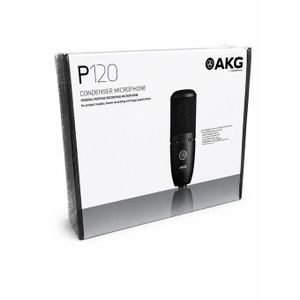 P120 Condenser studio recording microphone