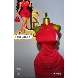 Red Gorgeous Elegant Dinner Gown 