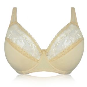 Plus Size Bra 30 32 34 36 38 40 42 44 46 C/D/DD/DDD/E/F/FF/G Cup Underwire Push  Up Sexy Lingerie Lace Bras For Women Brassiere