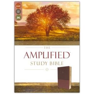 Amplified Study Bible, Large Print, Imitation Leather