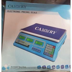Electronic Pricing Scale 40kg