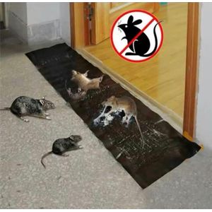 rat gum trap