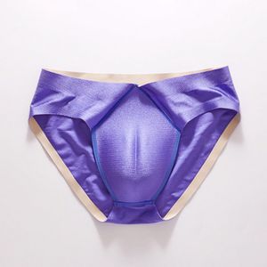 Silicone Fake Vagina CAMELTOE Men Gaff Panties Underwear Knickers G-string  Pants