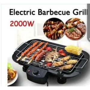  Electric Barbecue Grill