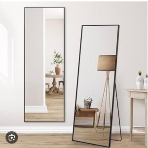 Elegant Standing / Wall Mounted Dressing Mirror