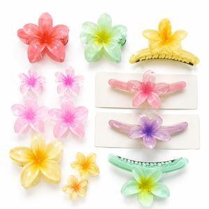 8 Pcs Flower Hair Clips Gift Set for Women