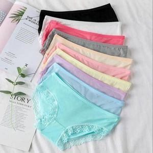 UNIC Children Girls beautiful Pant blu - 6pcs