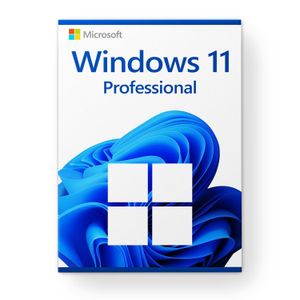 Microsoft Windows 11 Pro 