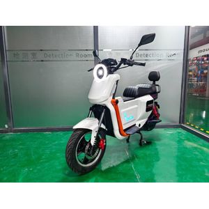 PANTERAS U2 Electric E-Bike - 48V Lithium Battery, 2-Seater, Disc Brakes, LED Display, Backrest for Adults with 2 years warranty 