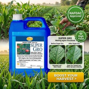 Neo Farm Life Super Gro - 5 Litre (Single) Super Gro's special formula lowers water's natural resistance, making it spread and soak in better.