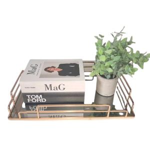 2 pieces faux book decor set , vanity tray + potted plant