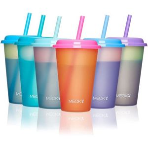 Meoky 24 oz Tumbler with Lid and Straw - Meoky