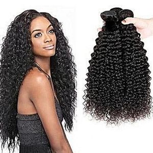 Kinky Curl Hair - COL1b/ 3 Bundles