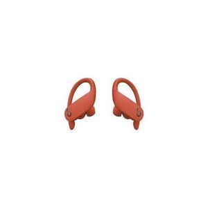 Power Beats Pro In-Ear Wireless Earbud