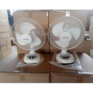 Phenix 12" fan with 2 bulbs and panel  