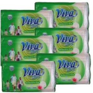 Viva Plus Multipurpose Bar Soap - 250g X 24pcs