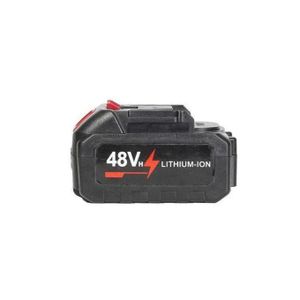 48V Lithium Ion Battery 1pcs