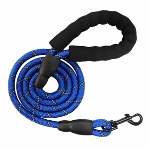 Heavy-Duty Reflective Dog Leash with Comfort Foam Handle - Strong Walking Leash (Blue, 1.2m)