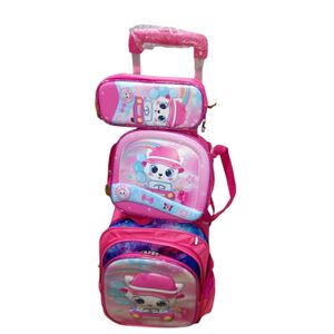 Deterchable Girl children troulley and back pack school bag for 7-13 years
