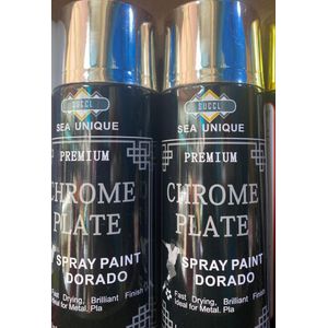 Spray Paint (Silver) 2 pieces