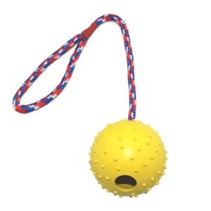 TD Bite Resistant Interactive Reward Fetch Ball Toy