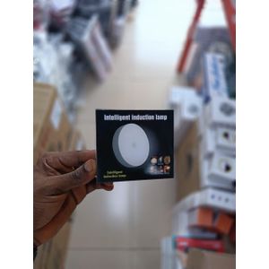 Intelligent induction lamp