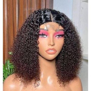Jerry Curly Hair Wig With 2*4 Closure Natural Color 12inches