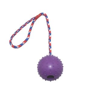 TD  Bite Resistant Interactive Reward Fetch Ball Toy