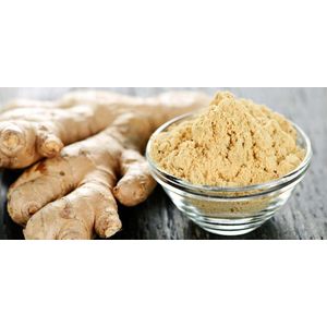 Homy Ginger Powder 100g