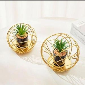 Classy Style Gold Wire Geometric Plant Stand & Succulent Pot