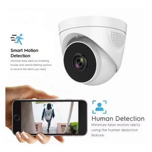 Vu  Internet CCTV System with Night Vision Two- way Audio Cloud and SD card Storage indoor IP Security Camera 
