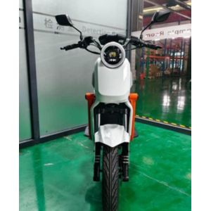 High Quality U2 Panteras Electric E- Bike 1000W - Rechargeable Electric Bike - No Petrol - 60-80KM Per Charge - For Adults, Delivery, Students