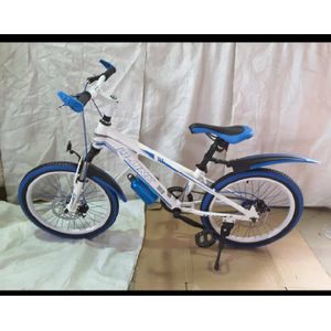 jumia online shopping bicycle