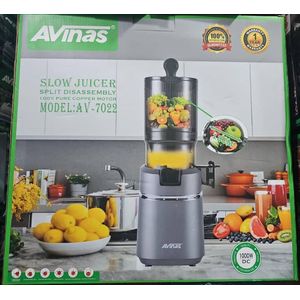 Avinas  Slow Juicer With Ice Cream Filter