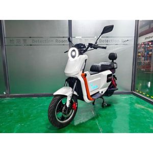 PANTERAS U2 Electric Scooter/E-Bike-48V Lithium Battery,2-Seater, Disc Brakes, LED Display, Backrest For Adults With 2 years warranty 