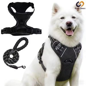 Gray Stars 1.5M Pet Leash + Harness, Pet Leash Outdoor Pet Supplies For Cats And Dogs-Black
