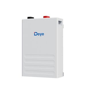 Deye 51.2V 5KWH 100AH Lithium(LiFePO4)Battery