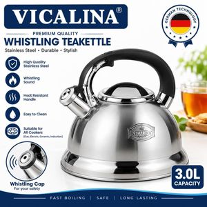 Stainless Steel Whistling Kettle-3.0LStovetop Kettle ! Sliver 