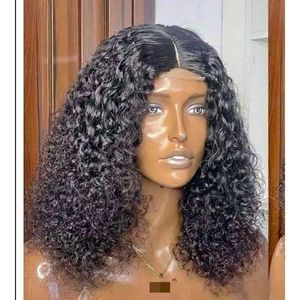 Water Curly Wig With Closure Natural Colour