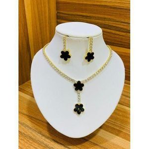 Beautiful Ladies Necklace and Earring Set