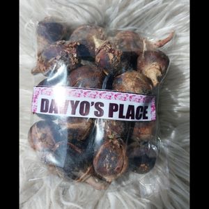 Davyo'splace Gorontula Seed Fruit Silky kola 25pcs