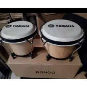 Conga drum price on jumia cheap