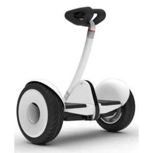 Segway Ninebot Smart Mini Scooter - App-Controlled Self-Balancing Electric Segway with Classic LED Lights and Bluetooth