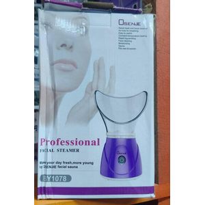 professional facial steamer 