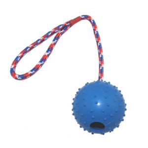 TD Bite Resistant Interactive Reward Fetch Ball Toy