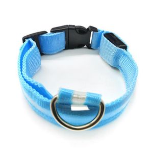 USB Rechargeable LED Pet Collar - Light Up Night Safety Dog Collar (Blue, S)